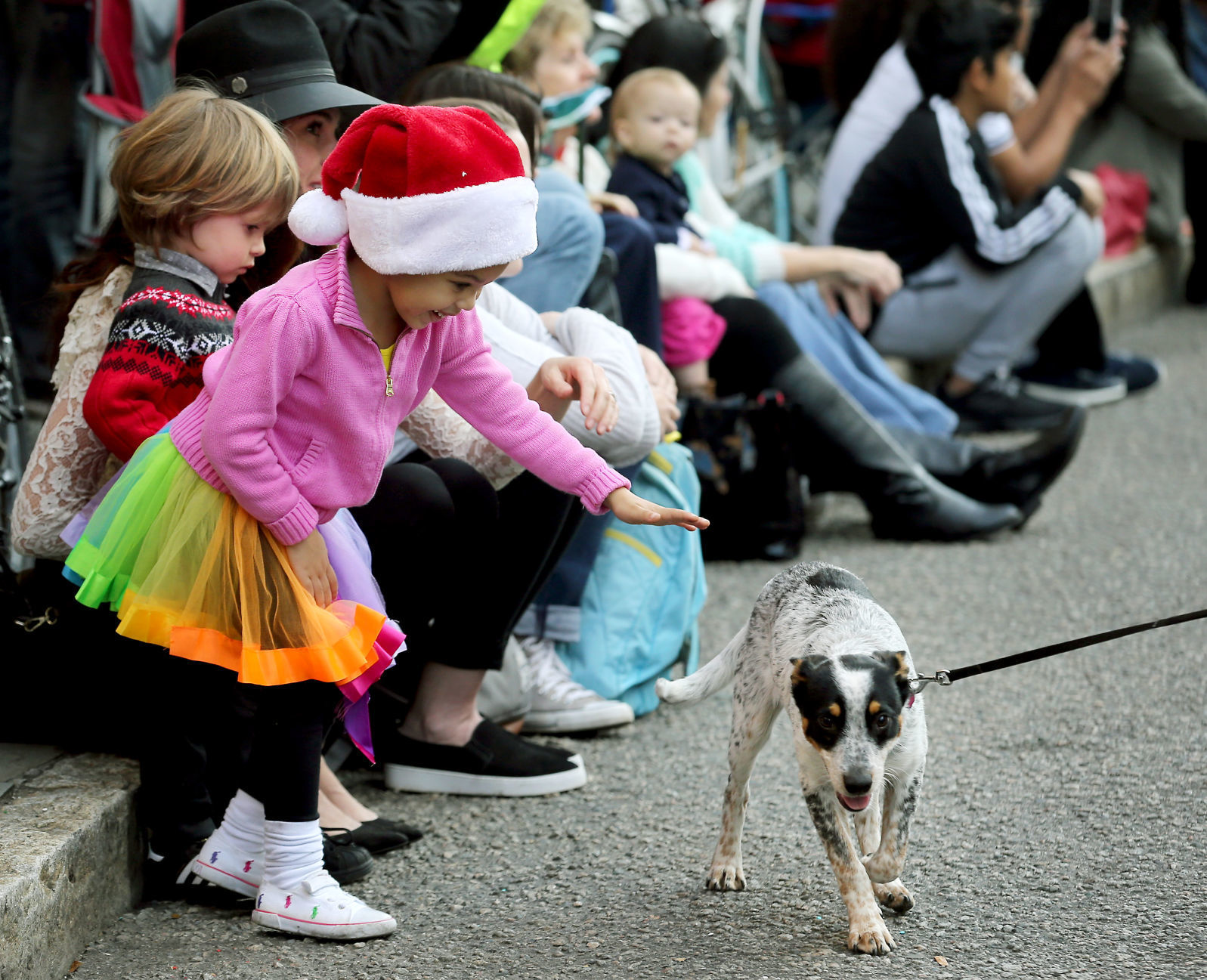 Parade girl with Santa hat and dog